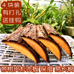 4块装 带树皮杉木板种植石斛蝴蝶兰木板 吸水保湿很好长根快