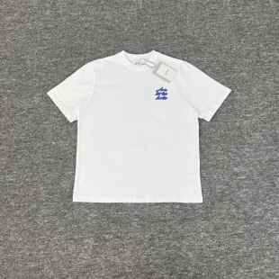 男女宽松上衣T恤衫 高街纯棉短袖 字母印花潮牌INS明星同款 Arte美式