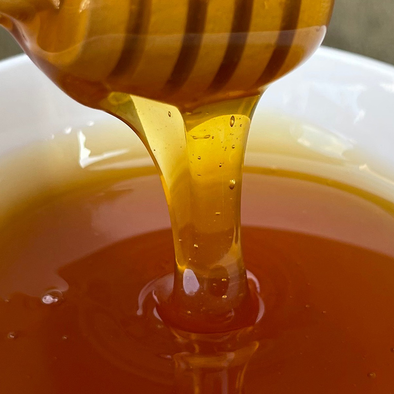 海伶山珍青川高山原蜜土蜂蜜