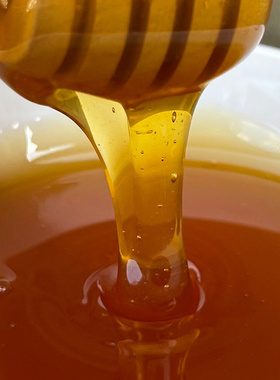 赵海伶 | 海伶山珍高山原蜜900G 农家自产深山土蜂蜜一年仅取一次