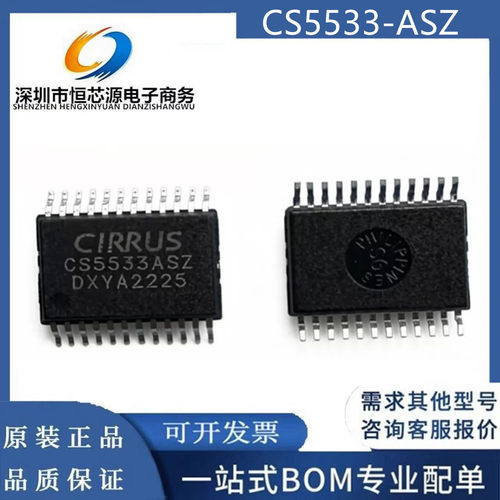 CS5533-ASZR CS5533-ASZ 封装SSOP-24 模数转换芯片ADC 全新原装