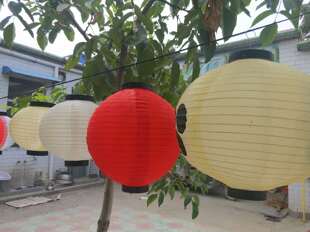 樱花祭勾玉拼色圆形日式灯笼户外防水日本料理寿司店餐厅装饰家纹