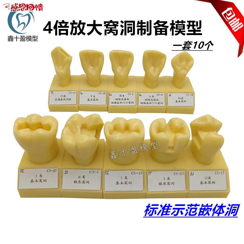 牙科口腔模型E4倍大窝洞制备模型备牙k牙粒单色备牙标准示范模