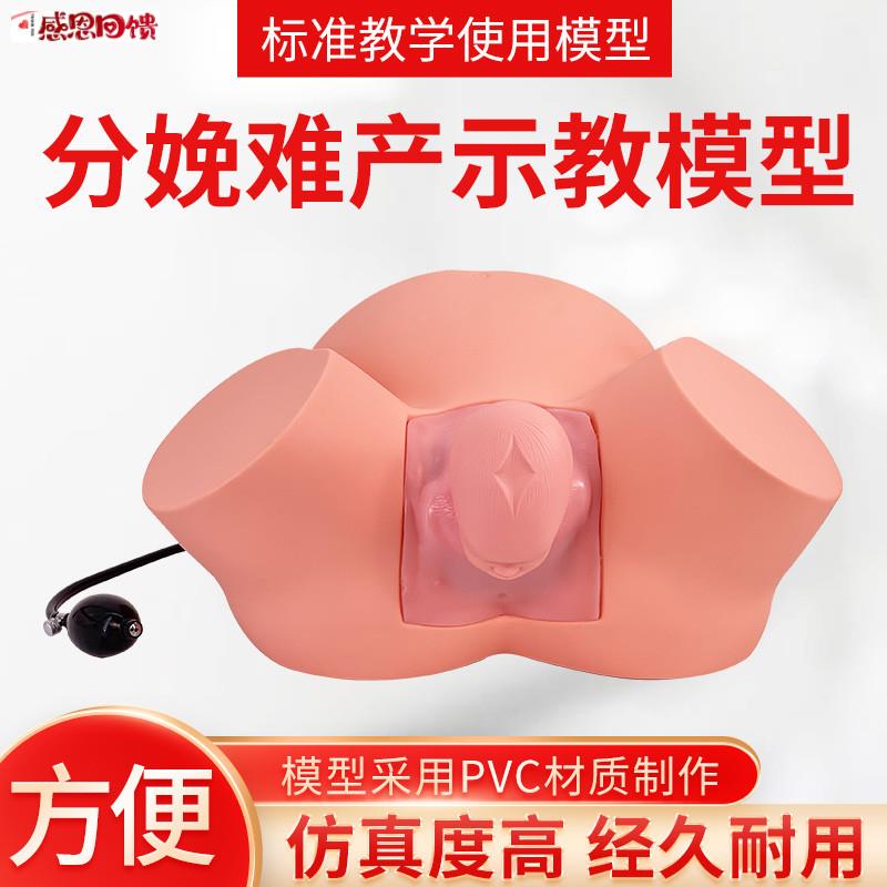 孕妇难产示教模型分娩教学模具难K产助产示教训练生产分娩演示肩