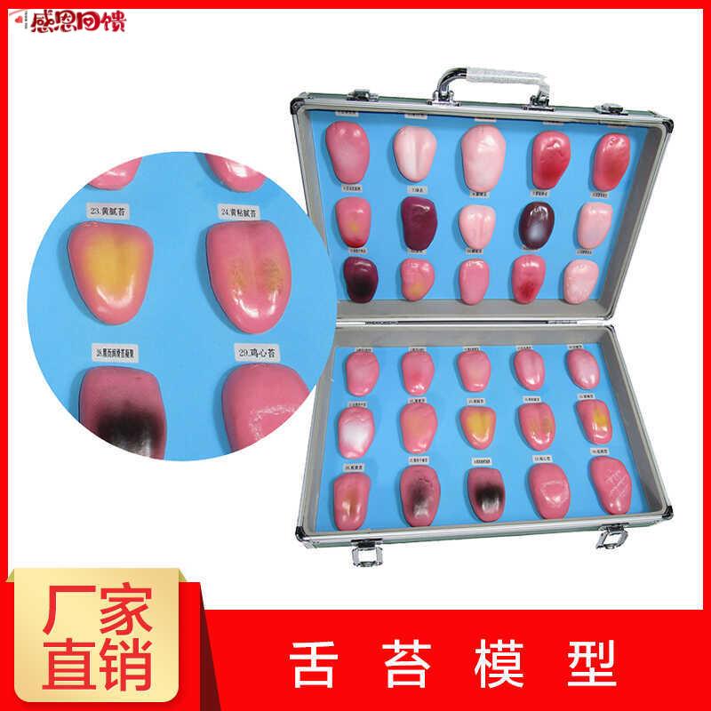 人体舌头舌苔模型常h见病舌苔病变比较中医口腔望诊教学解剖模
