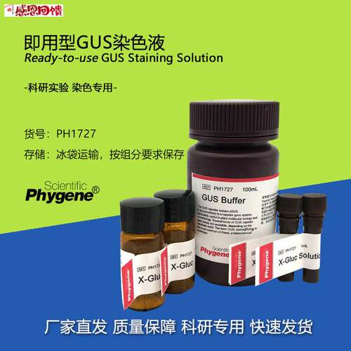 GUS染色液 即用型  植物基因表达分析 100mL [PH1727P PHYGENE