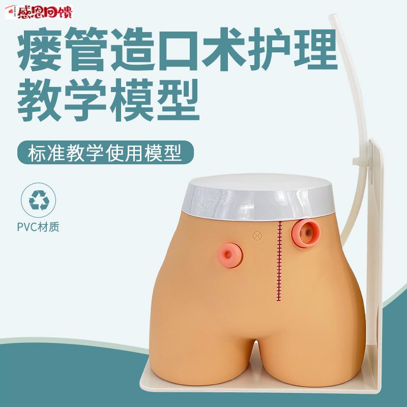 造瘘练习模型k 结肠造口 回肠造瘘模型 高级瘘管造口术护理模