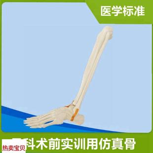 仿真踝关c节模型足骨手术实操练习临床骨科医生实训用假骨头下肢
