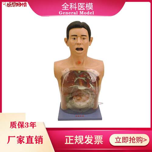 透明洗胃模型带警示医学g训练鼻饲气管切开护理插胃管教学模