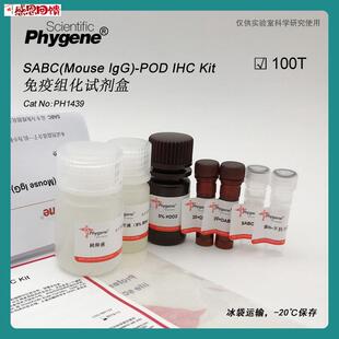 SABC试剂盒 Mouse IgG-POD 免疫组E化试剂盒 [PH1439 PHYGENE