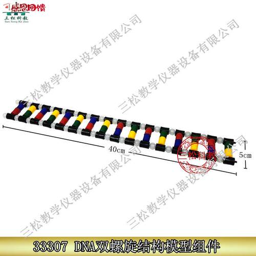 33307 DNA双螺旋结构模型组件 生物实验 演示DoNA组成 教学仪