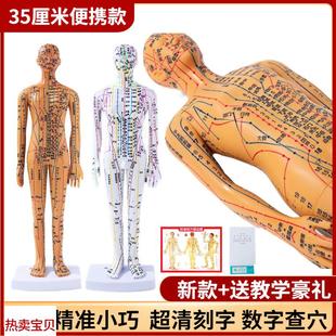 超清晰经c络穴位针灸小人模35cm针炙穴位人体中医迷你穴位人体模