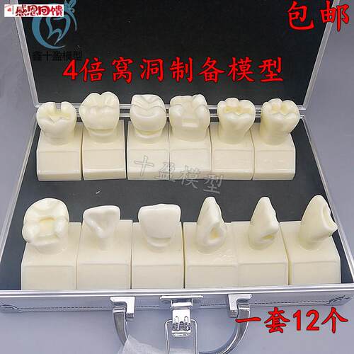 牙科4倍大窝洞制备模型 四倍牙齿备牙标C准示范嵌体洞型12个M702