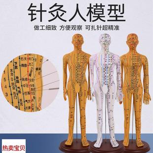 中医针灸穴位模型图全p身家用十二经络人体硅胶模型可扎针小铜皮