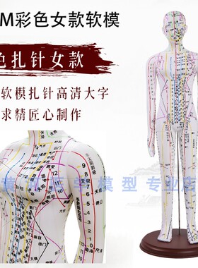 新款彩色 白色 针灸人体模型 男x60CM女50CM 穴位 经络 针灸 模型