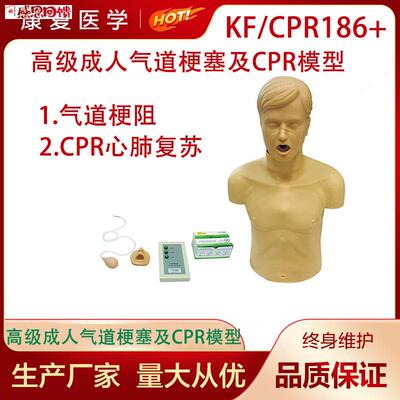 高级成人气道梗T塞及CPR模型成人海氏急救模型成人海姆立克模