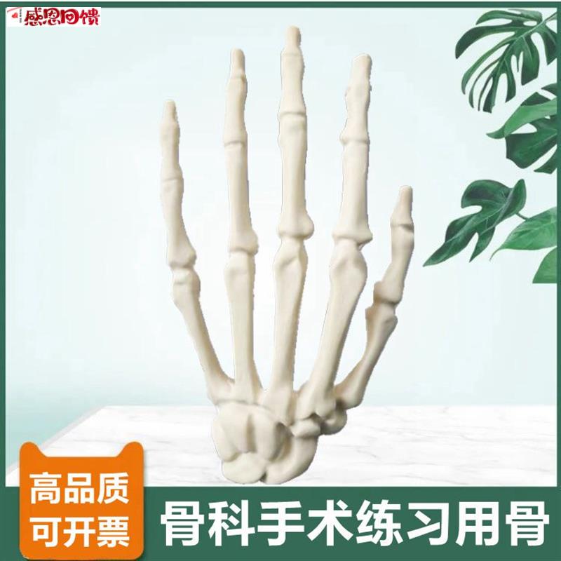 1比1手a骨模型临床骨科手术练习用仿真骨医师技能考试左右手腕骨