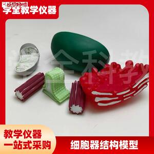 细胞器结构模型 生物教学仪器 线粒体S 叶绿体 高尔基体 中心