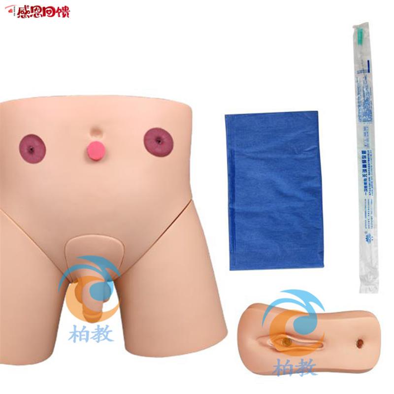 男女性导尿模型 插尿管模型 灌肠模型 医X学导尿技能操作护理模