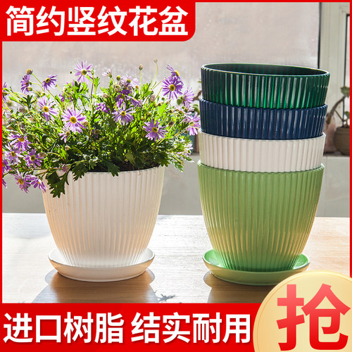 2023新款简约小花盆种植盆