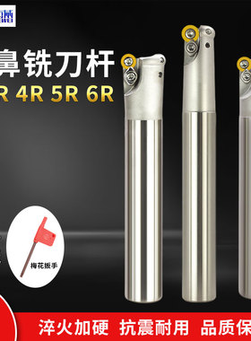 EMR圆鼻立铣刀杆R5 R4 R6圆刀粒emr1003 12 16 20 25 30 35-150