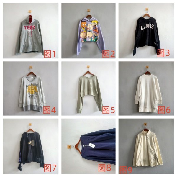 外贸春秋新款女装日韩休闲多色多款套头修身长袖卫衣 女生卫衣A63