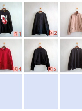 外贸春秋新款女装欧美休闲拉绒套头宽松长袖卫衣 女生百搭卫衣A67