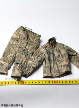 DAMTOYS DAM 78097 内务部 赫尔松 上衣裤子 作战服 1/6人偶配件