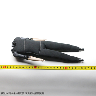 HT HOTTOYS 星球大战前传3 达斯 西迪厄斯 MMS745 皇帝 素体 配件