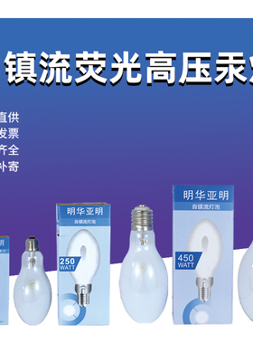明华亚明自镇流荧光高压汞灯125W/160W/250W/450W自贡灯GYZ/GGY