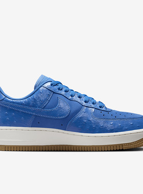 Nike/耐克正品当季新款女士时尚耐磨运动休闲板鞋DZ2708-400