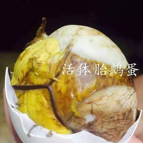 生鲜活体胎鹅蛋毛蛋鹅毛蛋12枚18天没毛鲜营养农家散养活珠子