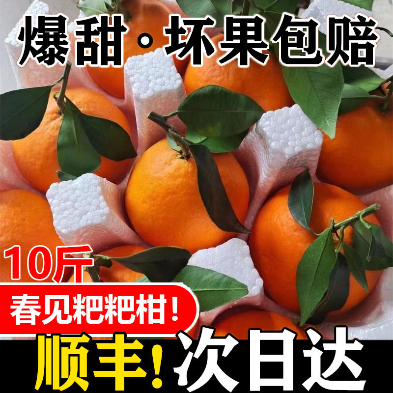 正宗四川春见耙耙柑当季新鲜眉山粑粑柑水果孕妇丑八怪柑橘子包邮