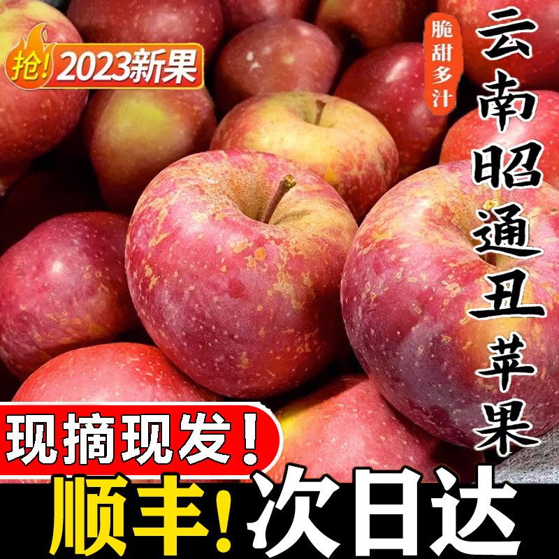 现摘云南昭通市丑苹果水果新鲜整箱当季10斤红露富士糖心苹果绍通