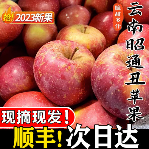 现摘云南昭通丑苹果新果