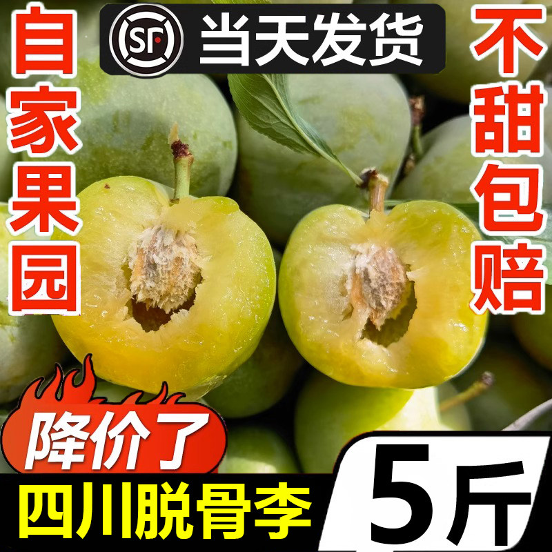 正宗四川青脆脱骨李应当季孕妇奈土李子新鲜水果现摘特大果5/9斤