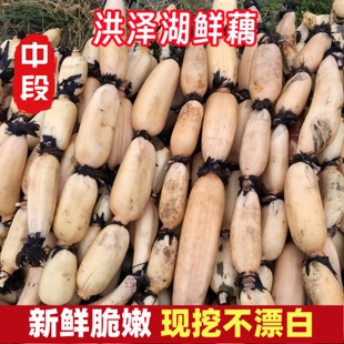 正宗洪泽湖莲藕新鲜莲藕口感软糯汤香甜煲汤藕糯米藕炖汤九孔藕