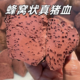 农家土猪血真猪血蜂窝状新鲜猪血豆腐火锅食材血块毛血旺