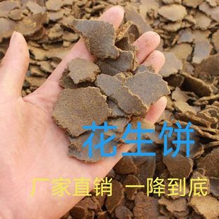 新鲜花生清仓饼榨油花生渣花生麸钓鱼养花畜牧种菜通用型专用肥料