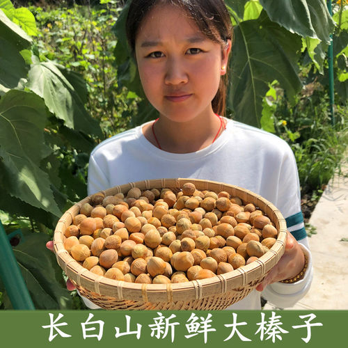 东北新鲜大榛子生的1斤原味榛子平榛坚果应季包邮产地直发