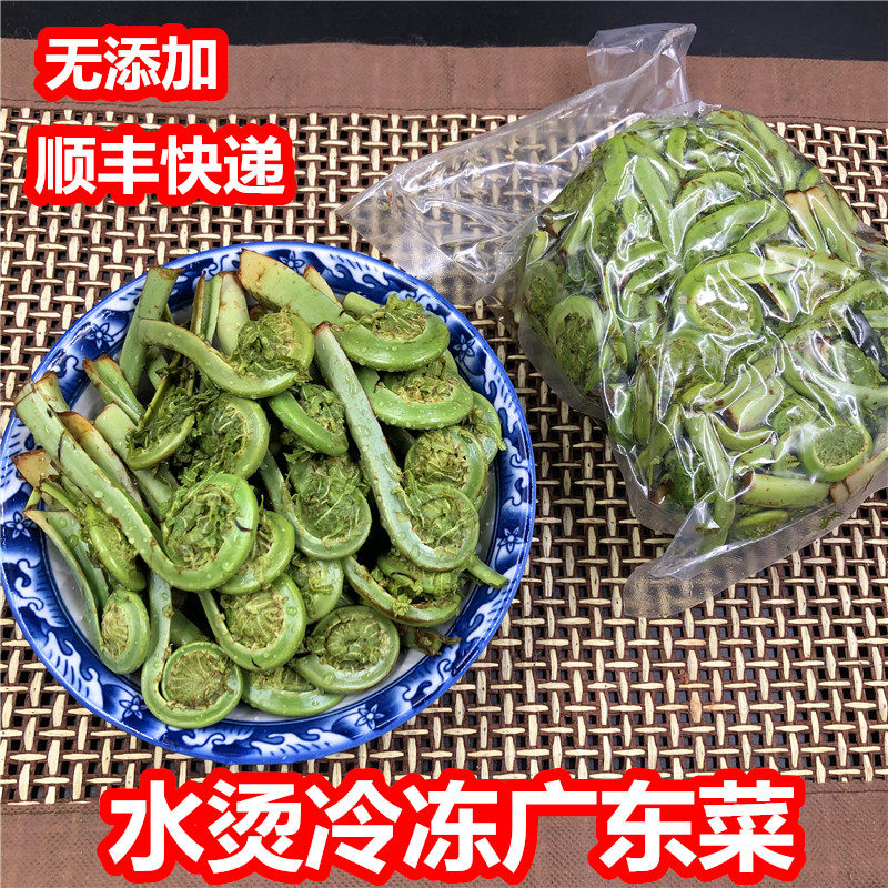 广东菜黄瓜香新鲜东北长白山野菜蕨菜勾菜2斤新鲜广东菜顺丰快递