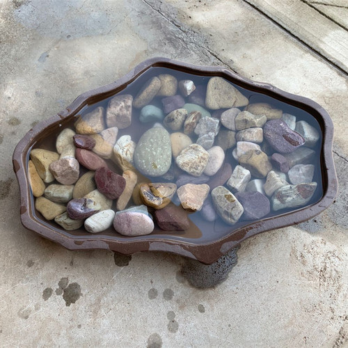 溪流石鱼缸造景垫底黄缘闭壳龟