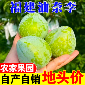 福建新鲜脱骨油奈李子