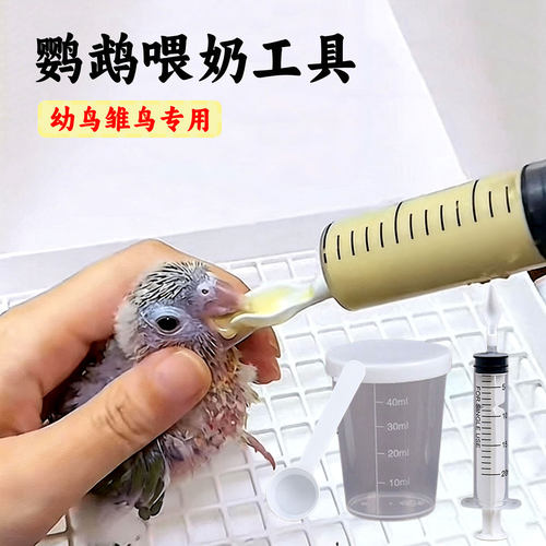 鹦鹉奶粉量杯喂奶工具温度计