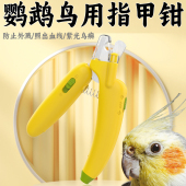鹦鹉专用指甲剪鸟用指甲钳磨爪器磨爪棒玄凤虎皮牡丹宠物剪磨指甲