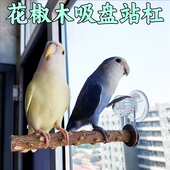 鹦鹉花椒木吸盘站架子空中站杠站棍磨爪玄凤虎皮专用鸟用玻璃站台