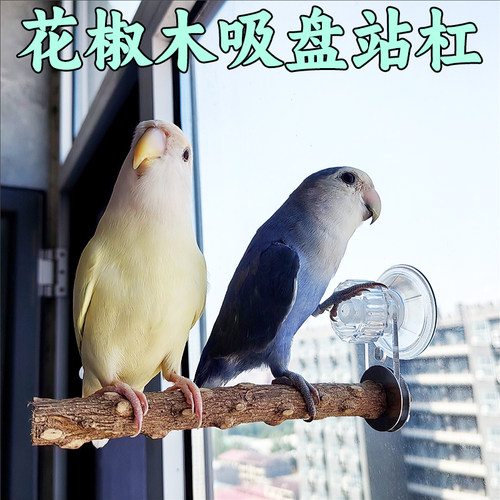 吸盘站架花椒木站杠鹦鹉鸟用站棍