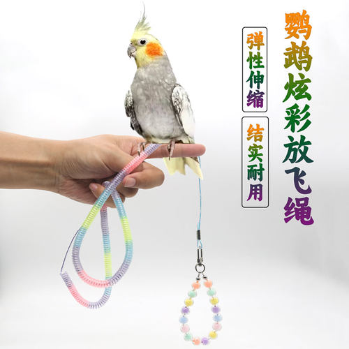 鹦鹉放飞绳脚环链外出遛鸟牵引绳