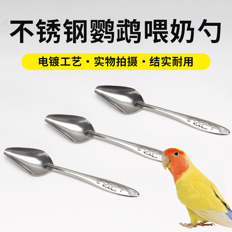 手养鹦鹉喂奶喂食勺子