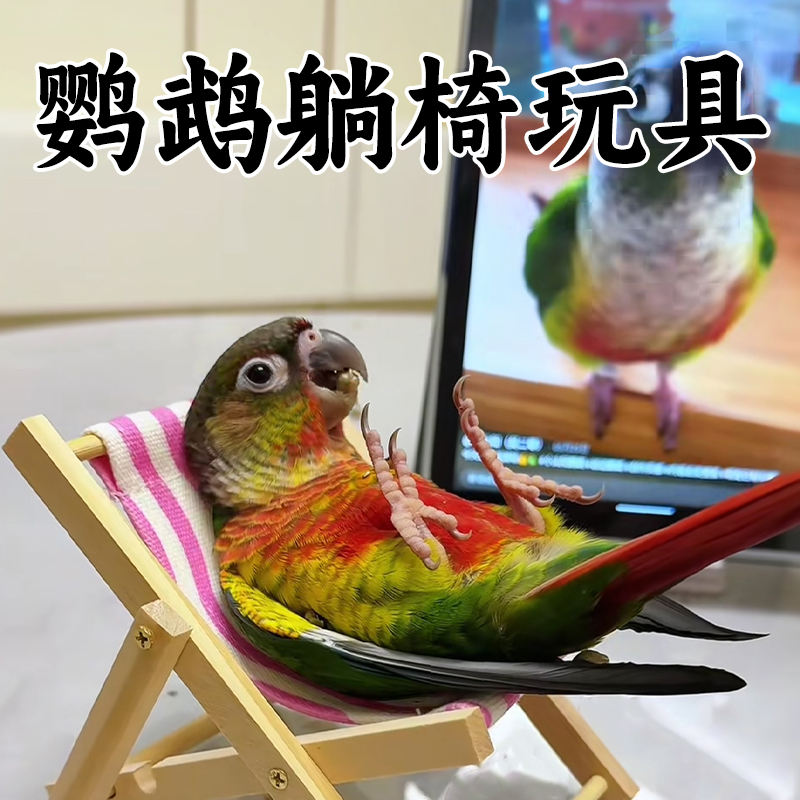 鹦鹉玩具躺椅小沙发训练逗鸟解闷